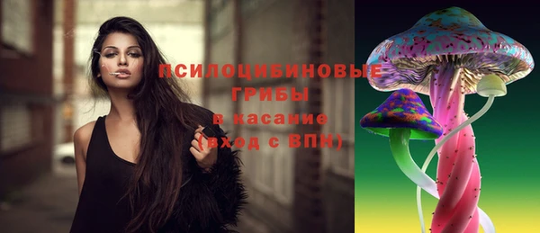 мдпв Куйбышев