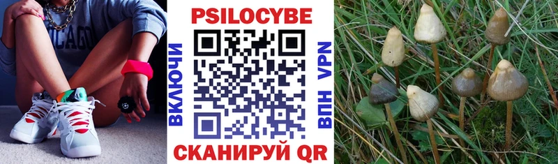 Купить закладки  Бобров  Галлюциногенные грибы мицелий 